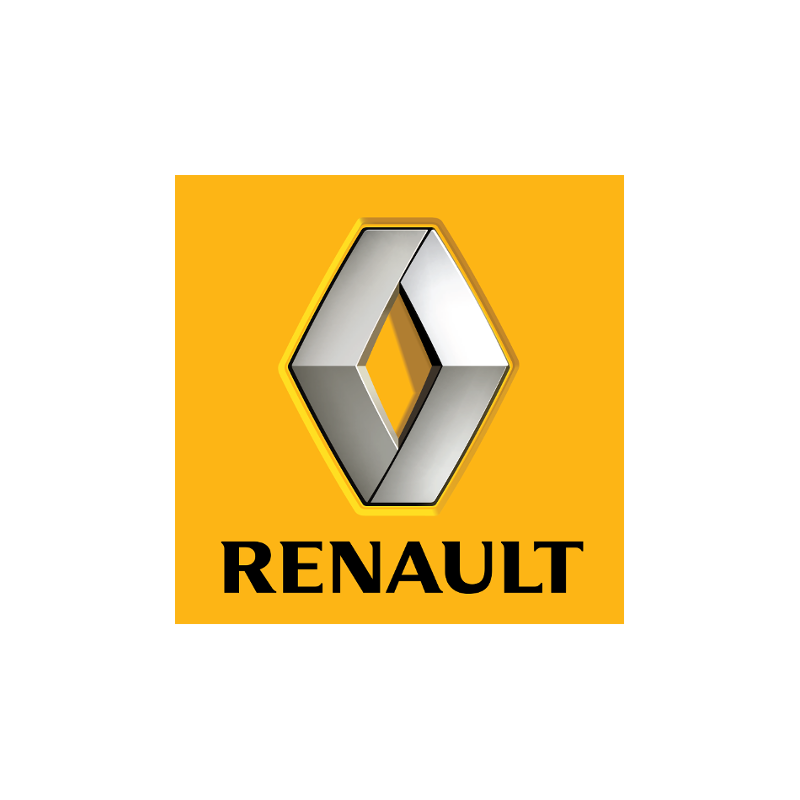 RENAULT St Barth